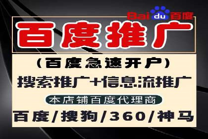 Sem优化公司案例：精准广告投放策略解析